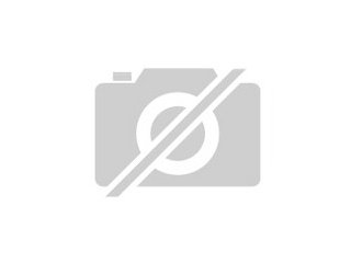 Gescheftspartnersuche